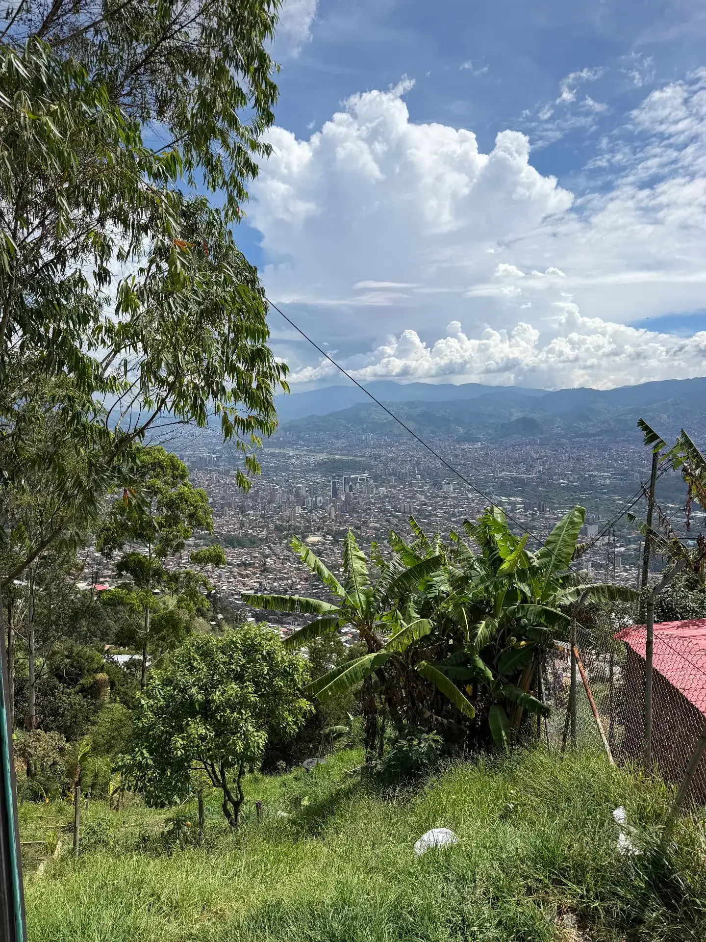The view over Medellín from the hillside where the foundation works