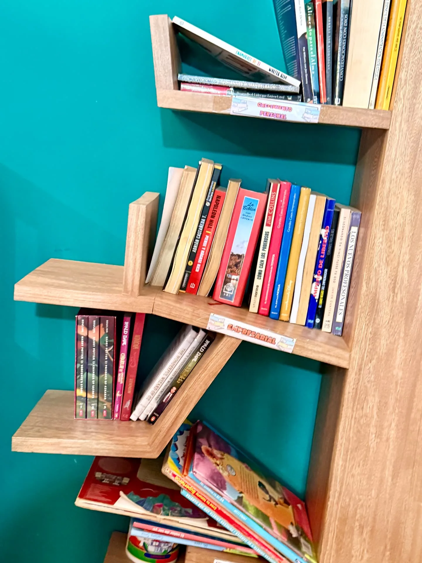 The foundation's wooden bookshelf filled with children's books
